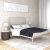 Galdesa Modern Metal Double Bed In Millennial Pink