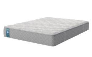 Sealy Waltham Latex Advantage Mattress, Single